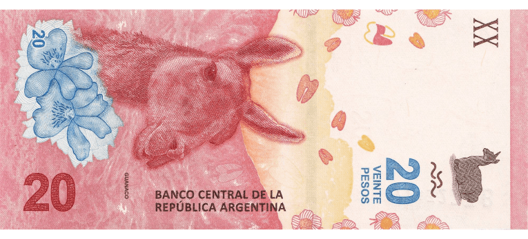 20 Pesos Argentinos - Imagen del anverso del billete de 20 ARS