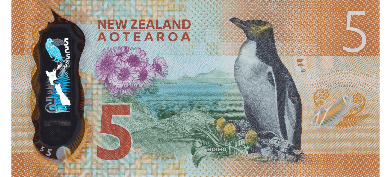 Dolar Neozelandés - Imagen del reverso del billete de 5 NZD